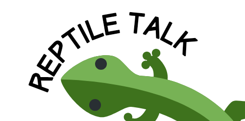 Reptile Talk